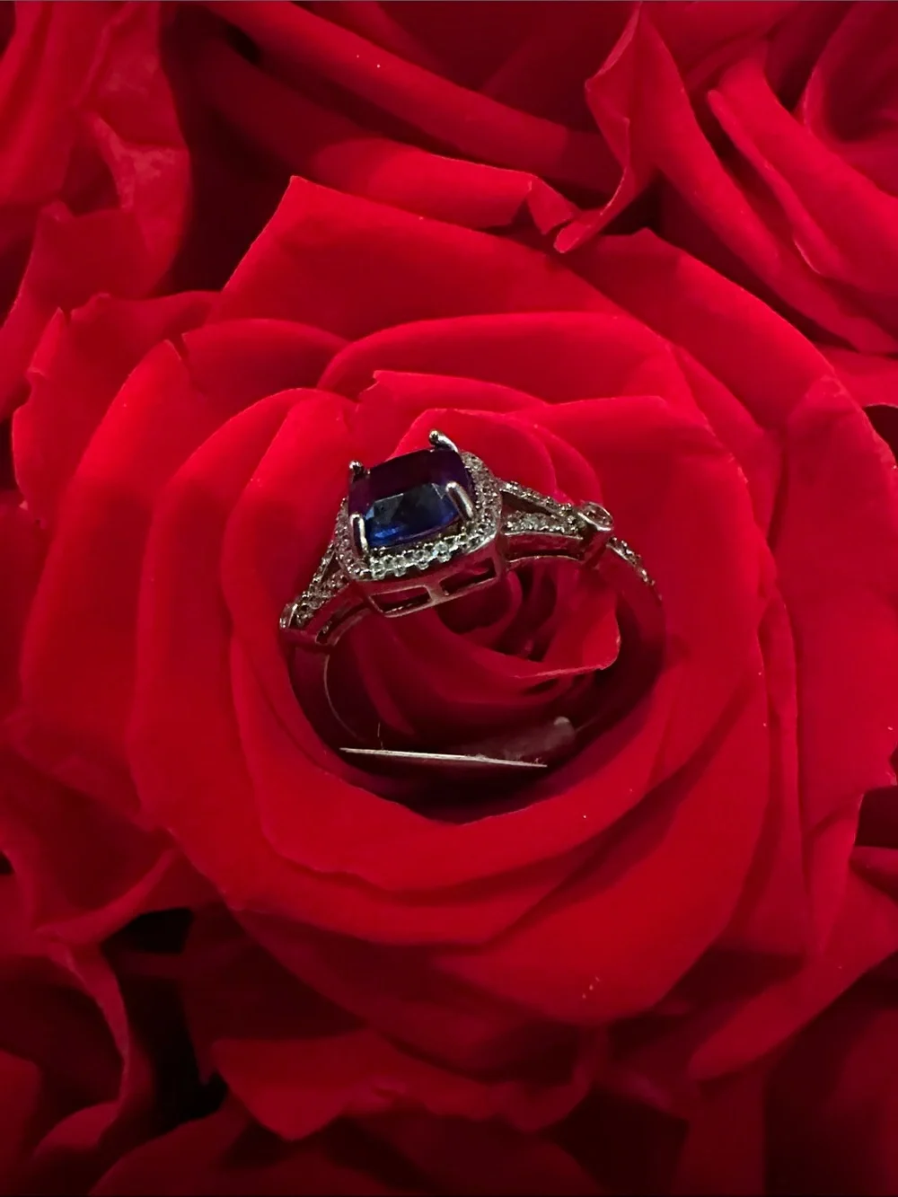 Blue Cushion Halo Ring with Pavé Band - Women's Jewelry 925 silver